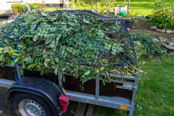 Best Shed Removal  in Charlotte, TN